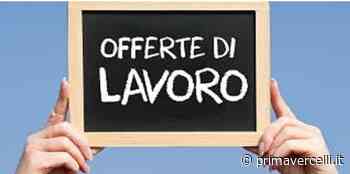 Offerte lavoro: nuove occasioni per chi cerca impiego - Prima Vercelli
