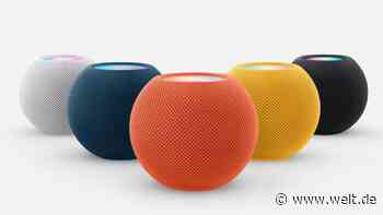 Smart Speaker in jedem Wohnzimmer? Deshalb bekommt diese Story Risse