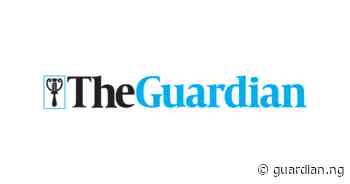 Police arrest 15 suspected drugs baron in Delta | The Guardian Nigeria News - Nigeria and World News — Nigeria — The Guardian Nigeria News – Nigeria and World News - Guardian Nigeria