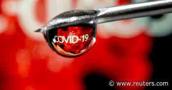 Variant that combines Delta and Omicron identified; dogs sniff out virus with high accuracy - Reuters.com