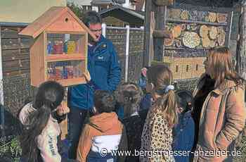 Bunte Bienen-Zimmer aus Blechdosen an Heppenheimer Grundschule - Heppenheim - Nachrichten und Informationen - Bergsträßer Anzeiger