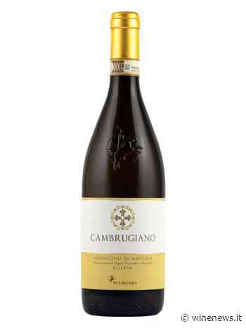 Belisario, Docg Verdicchio di Matelica Cambrugiano Riserva 2018 - WineNews
