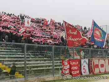 Ancona Matelica, arriva il Siena «Vorremmo poter festeggiare sotto la Nord» - Cronache Ancona