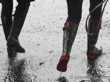 Weather: Mixed skies, 2 C Thursday, winter makes a comeback Friday night