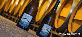 Winzer und Sommeliers starten Ukraine-Charitys