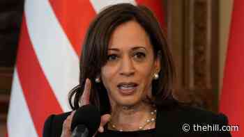 Harris affirms NATO commitment, supports Russia war crime probe