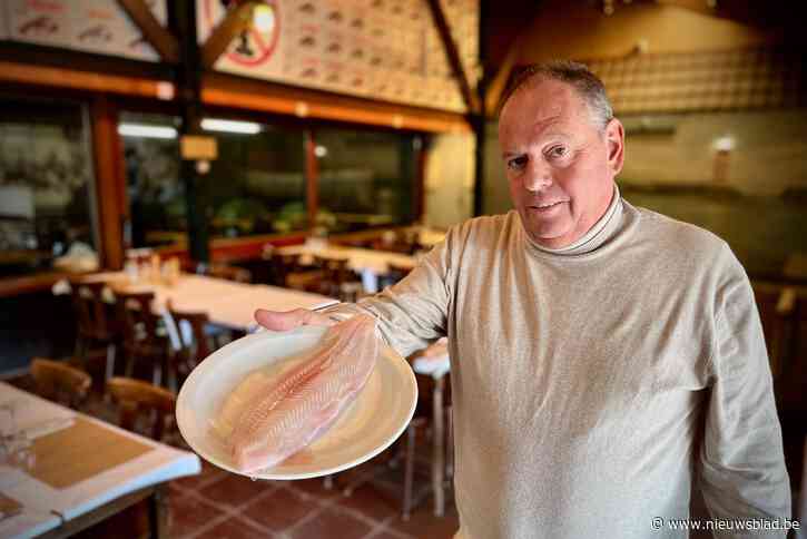 Ook aan kust laat exploderende dieselprijs zich voelen: “Noordzeevis nu al 20 procent duurder”