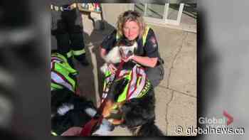 Leduc firefighter says she endured sexual harassment to keep doing job she loved: ‘It becomes your whole life’ - Global News