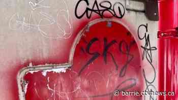 Alliston parks playground equipment marked with graffiti - CTV News Barrie
