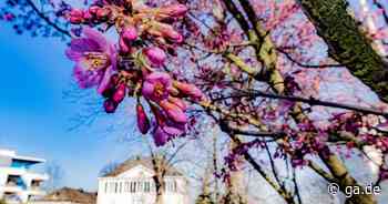 Wetter in Bonn: 17 Grad - Donnerstag wird wärmster Tag des Jahres - General-Anzeiger Bonn