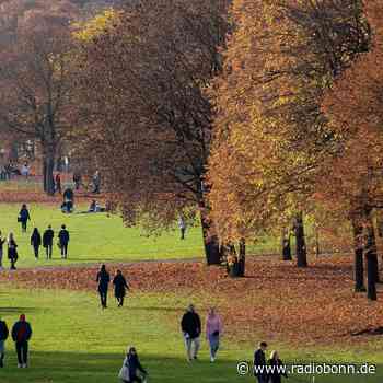 Zwei Jahre nach dem ersten Lockdown: Die Corona-Trends - radiobonn.de