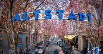 Alle Infos zur Kirschblüte 2022 in Bonn - General-Anzeiger Bonn