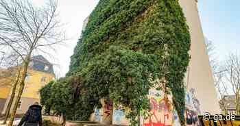 Bunker in Bonn: „Öffentliche Schutzräume gibt es nicht“ - General-Anzeiger Bonn