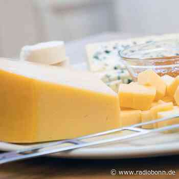 Ab wann muss angeschimmelter Käse wirklich weg? - Radio Bonn / Rhein-Sieg - radiobonn.de