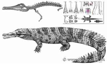 Giant 19ft-long crocodile-like creature may have been ritualistically beheaded 3,000 years ago