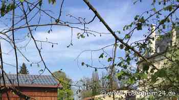 „Der Wildschütz“ kommt im Juni nach Maxlrain