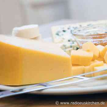 Ab wann muss angeschimmelter Käse wirklich weg? - radioeuskirchen.de