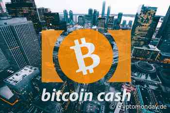 Bitcoin Cash Kurs-Prognose: Ist BCH noch eine gute Investition? - CryptoMonday | Bitcoin & Blockchain News | Community & Meetups