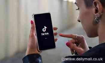 TikTok is finally back up following a four-hour outage
