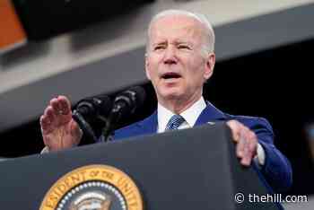 Biden blames 'Putin's price hike' for inflation spike