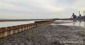 Contaminated sediment fully contained in Hamilton Harbour’s Randle Reef project - Global News