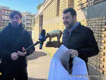 "Tapiro all'asta per aiutare l'Ucraina". Salvini risponde così alle polemiche