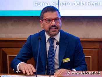 "Vi dico qual è il vero paradosso della libertà"