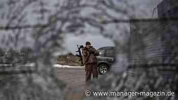 Ukraine-Newsblog:Schröder soll Putin zu Gesprächen über Ukraine treffen, Russland erhält alle Energieexporte aufrecht