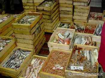 Scordatevi il pesce: perché non si trova e perché ora c'è il rischio salasso