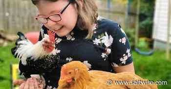 Clarenville girl begs town to let her keep pet roosters - Saltwire