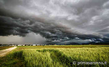 Varese:+8,6% sui prezzi alimentari. SOS rincari a tavola - Prima Saronno