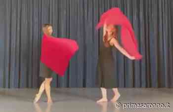 Weekend di hobby e passioni a Malpensa Fiere - Prima Saronno