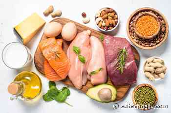 Eating Protein From a Greater Variety of Sources Linked With Lower Risk of High Blood Pressure