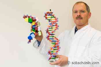 Uncovering the Purpose of Mysterious mRNA Modifications