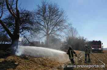 FW Eigeltingen: Flächenbrand in Heudorf