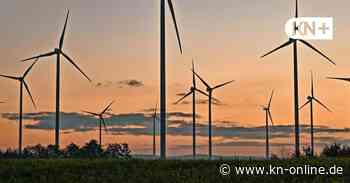Grünen-Spitzenpolitiker fordern ein Prozent mehr Fläche für Windkraft
