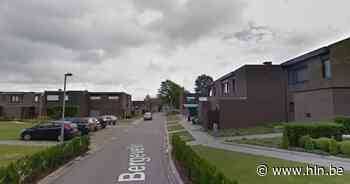 Holsbeek wil van Bergeveld een energiepositieve wijk maken - Het Laatste Nieuws