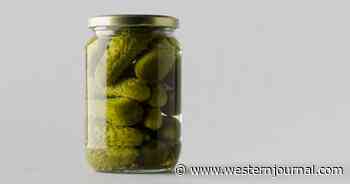 Teacher Facing Charges After Allegedly Biting Two Students Over Jar of Pickles