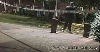 Boy, 16, stabbed youth in chest after he 'bullied his cousin' - Hull Live