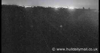 M62 reopened near Goole after vehicle fire- latest updates - Hull Live