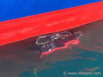 Greensea Launches Hull Cleaning Spin-off Armach Robotics - Offshore Engineer