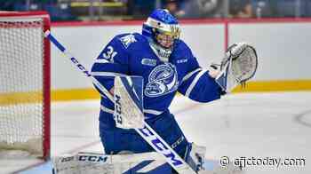 Mississauga Steelheads goalies dominant thanks to defensive structure, cohesion - CFJC Today Kamloops