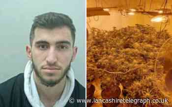 Man with more than 50 cannabis plants in house jailed - Lancashire Telegraph