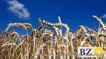 Helmstedts Landwirte spüren die Kriegsauswirkungen schon