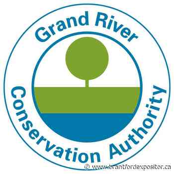 Tree maintenance along rail trail will result in temporary closings - Brantford Expositor