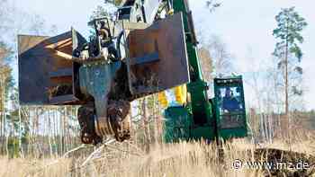 Starke Fräse nimmt den Förstern in der Annaburger Heide einige Sorgen - Mitteldeutsche Zeitung