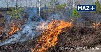 Kaltes Feuer in der Kyritz-Ruppiner Heide - Märkische Allgemeine Zeitung