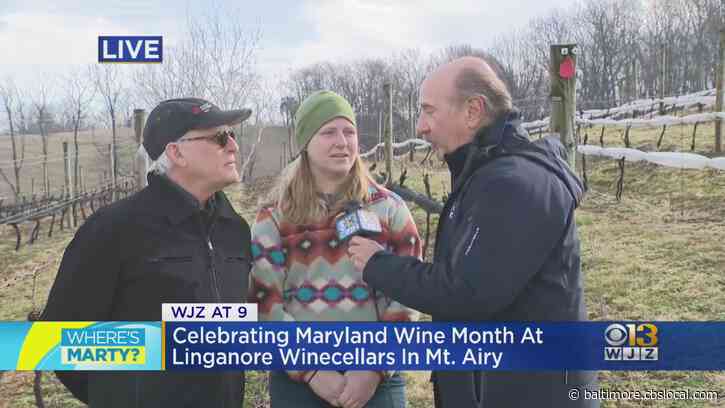 Where’s Marty? Celebrating Maryland Wine Month At Linganore Winecellars