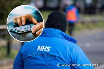 Call handler resigns after 'sex noises' are left on NHS Test and Trace voicemail - Southend Echo