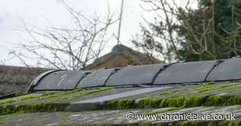 Teenager fined for trying to overcharge County Durham man by more than £1,500 for roof repairs - Chronicle Live